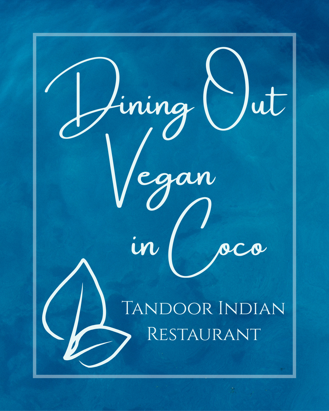 Vegan Food Playas del Coco Tandoor Indian Restaurant