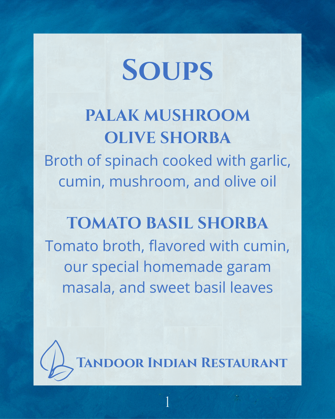 Vegan Food Playas del Coco Tandoor Indian Restaurant
