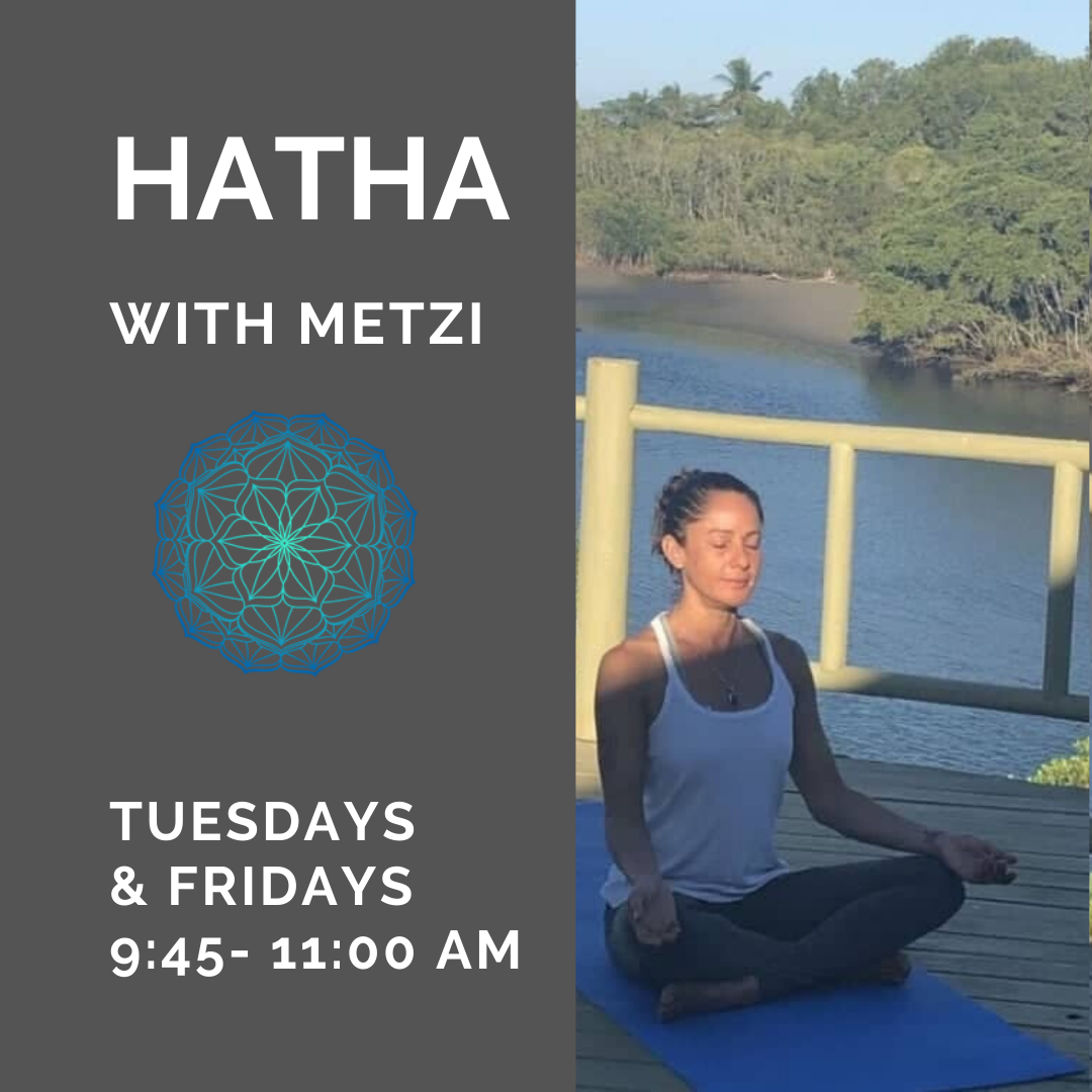 Hatha with Metzi