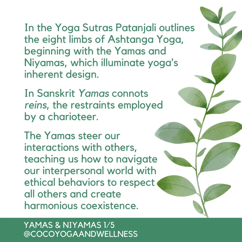 In the Yoga Sutras Patanjali outlines the eight limbs of Ashtanga Yoga, beginning with the Yamas and Niyamas, which illuminate yoga’s inherent design.   In Sanskrit Yamas connotes reins, the restraints employed by a charioteer.  The Yamas steer our interactions with others, teaching us how to navigate our interpersonal world with ethical behaviors to respect all others and create harmonious coexistence. 
www.cocoyogaandwellness.com