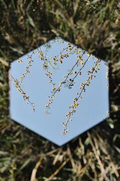 A mirror lying in the grass reflecting the sky and some flowers. This illustrates that self-reflection is a tool for healing people-pleasing, the Fawn trauma response, and codependency.
