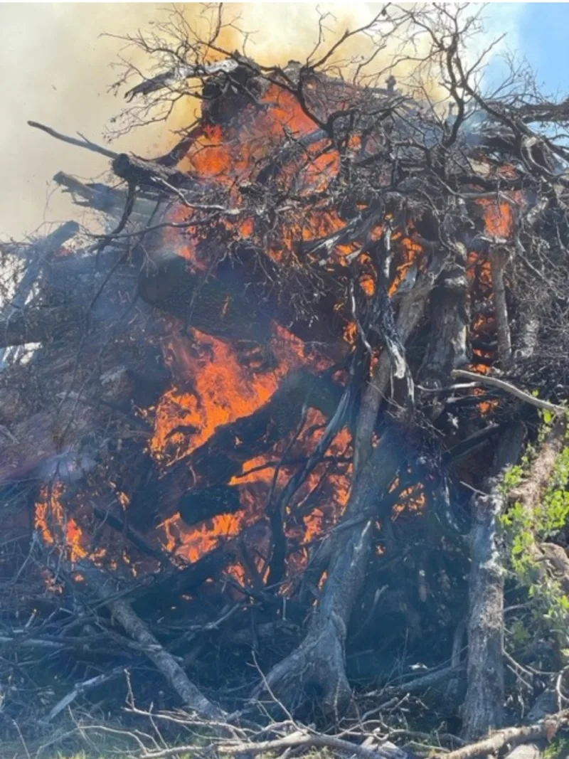 Giant burn pile at the lake. 