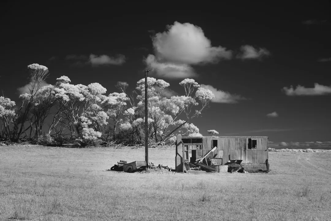 Picture