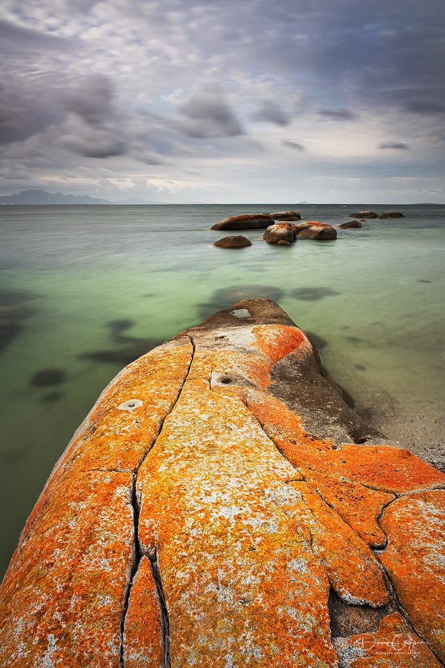 Tasmania