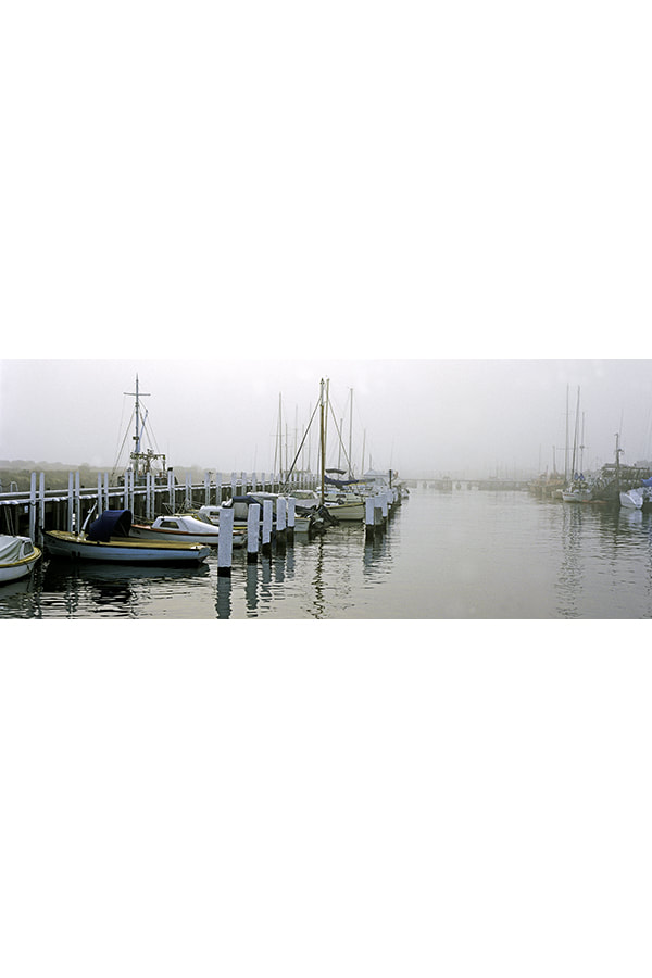 Panoramic