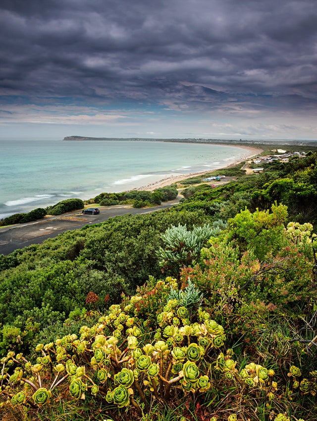 Ocean Grove