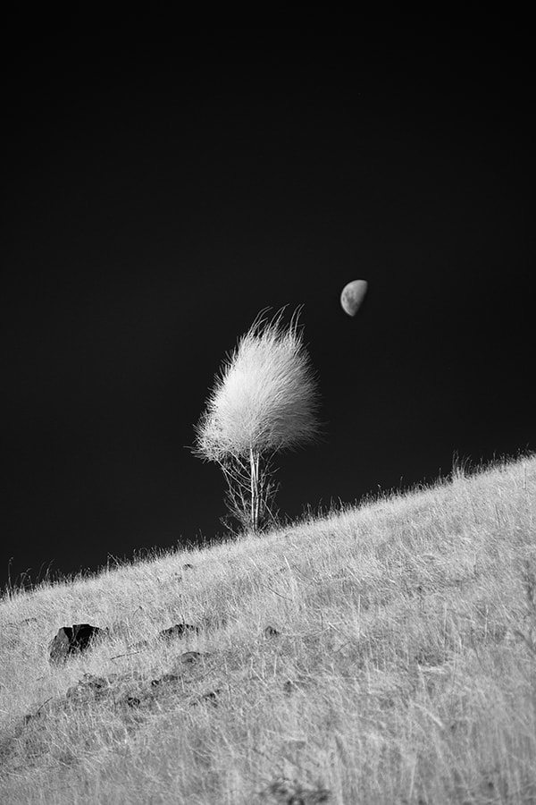 Infrared