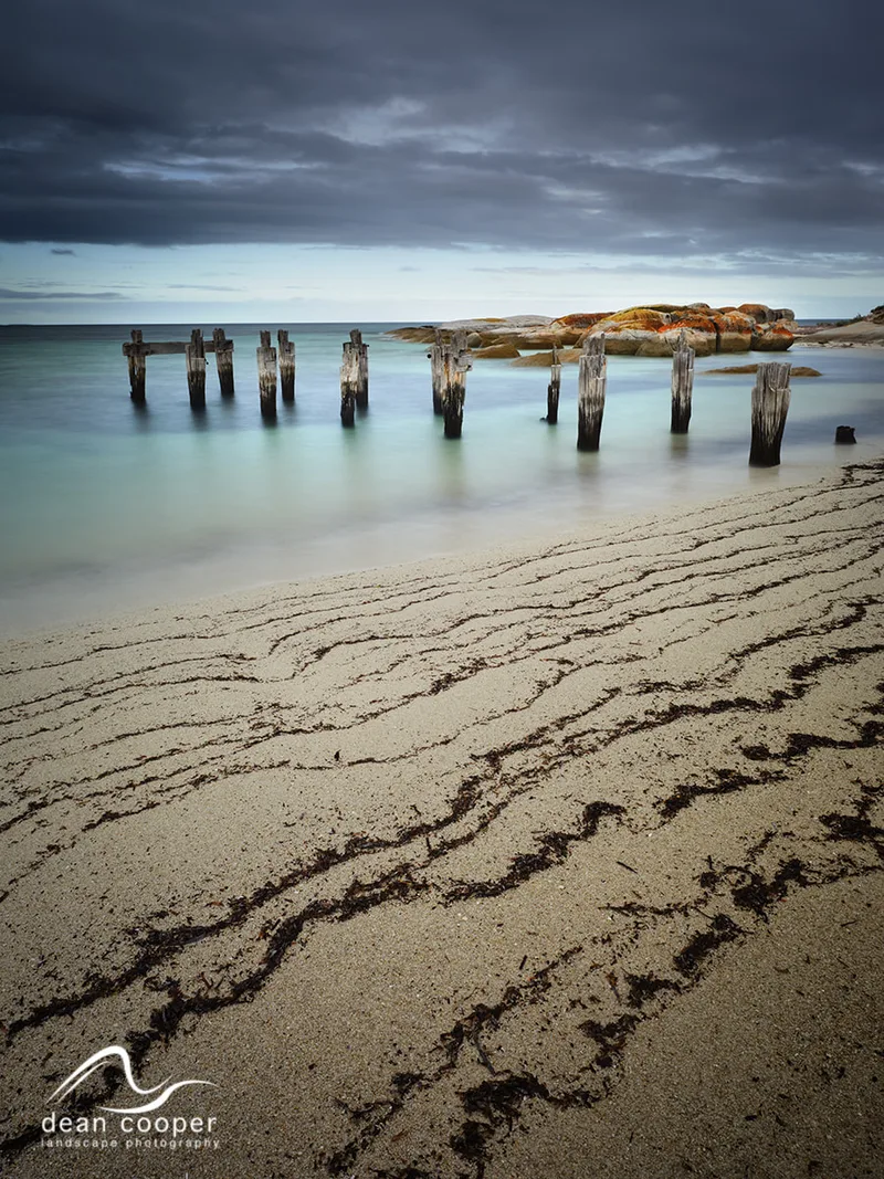 Flinders Island 2027 Workshop -  24-28th May -  DEPOSIT