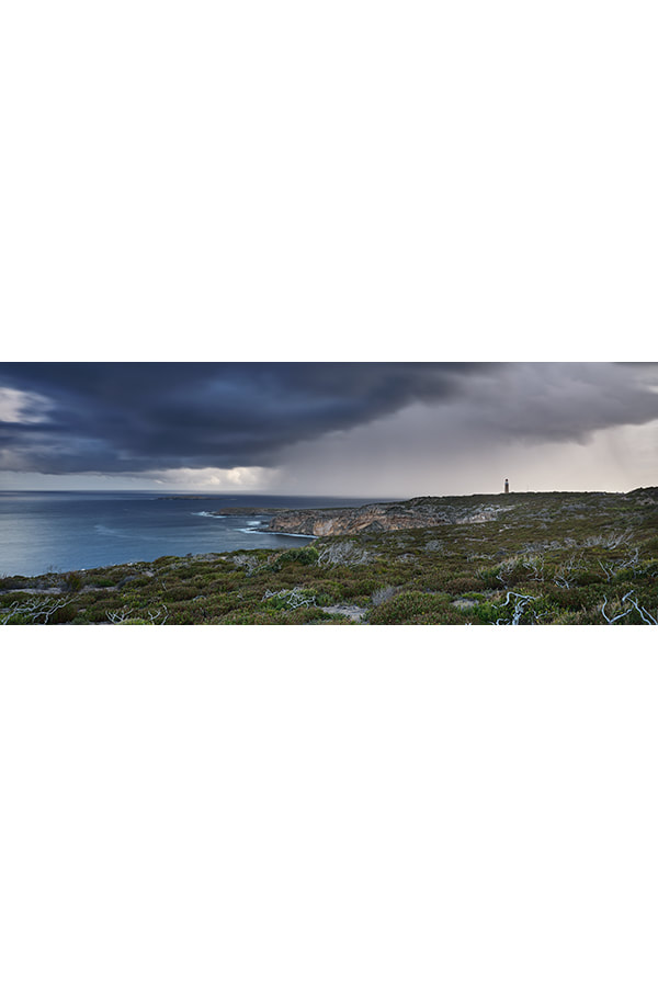 Storm Front GFX230163
