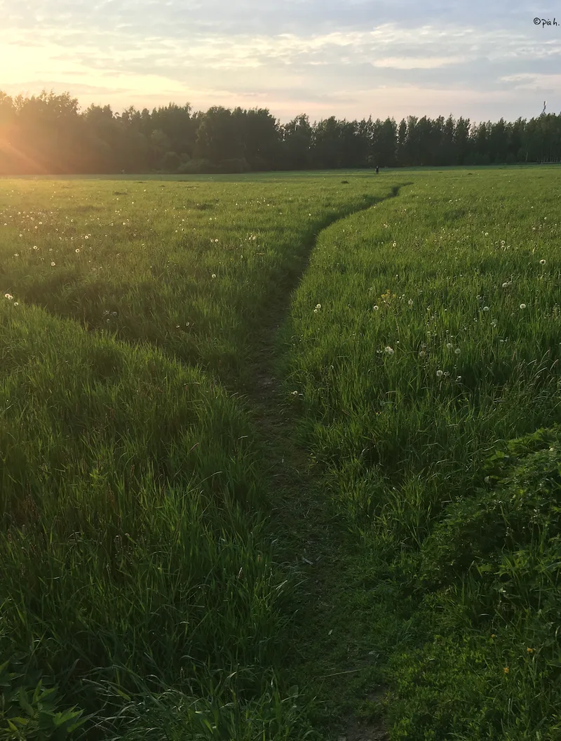 Self-care & Sustainability
​Selbstfürsorge