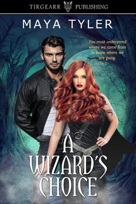 A Wizard's Choice book cover
