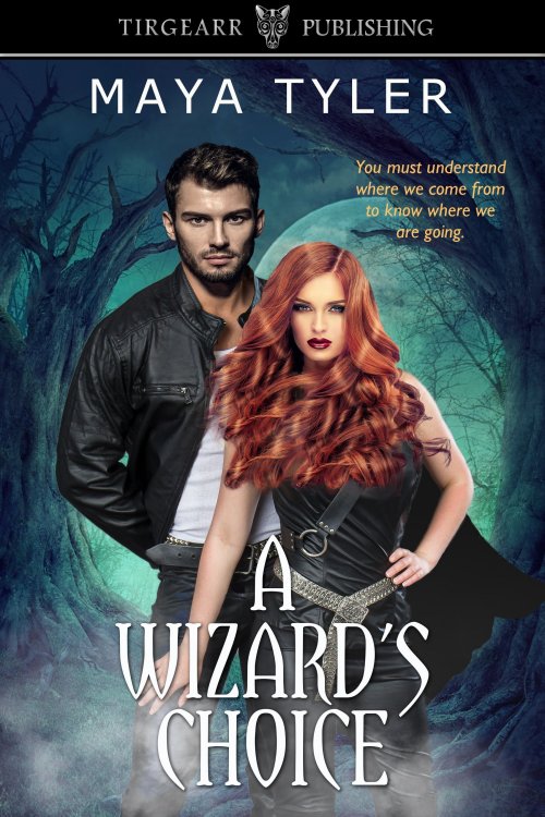 A Wizard's Choice book cover