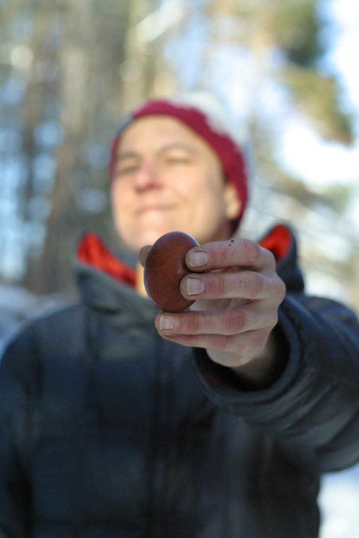 A white woman holds a dark brown Black Copper Marans egg in front of the camera.