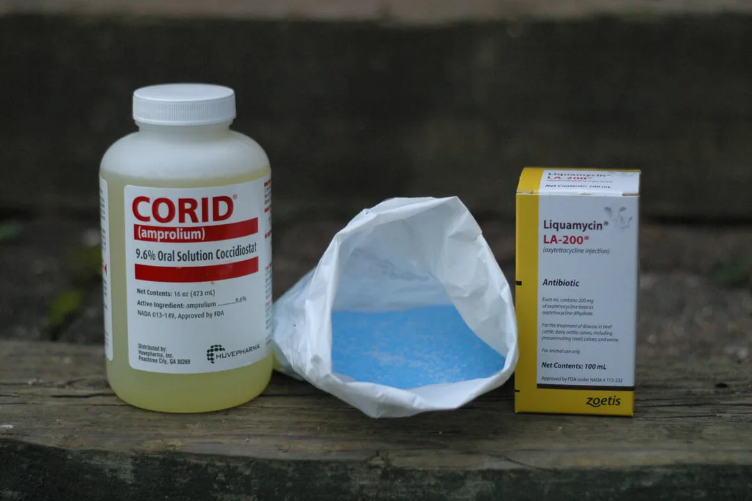 Chicken first aid supplies: Corid, Copper Sulfate, and antibiotics.