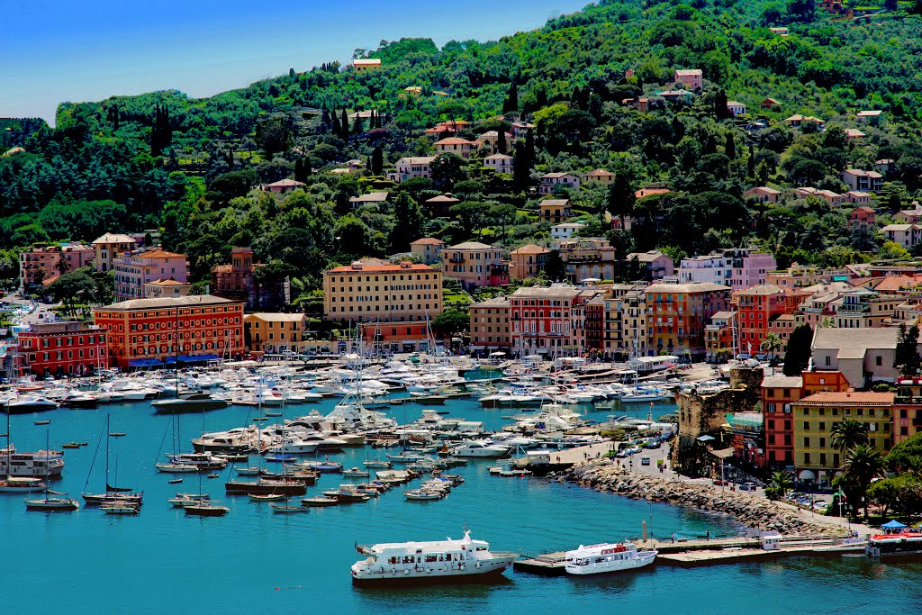 Picture