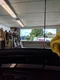 carousel chooser