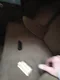 carousel chooser