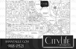 CityLife Ec at Tampines Shantalle Goh