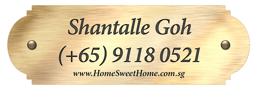 Shantalle Goh Singapore Phone Number: +65-91180521 Email: shantalle.goh@gmail.com