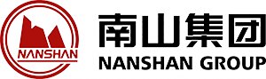 Nanshan Thomson Impressions Developer Track Record