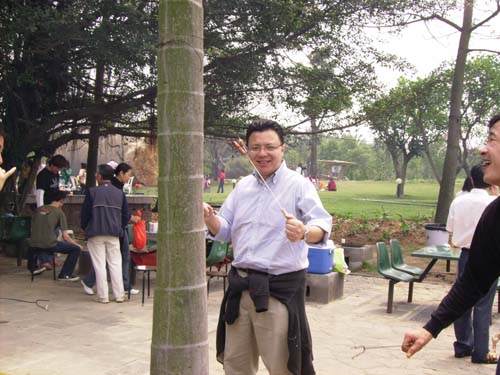 Picture