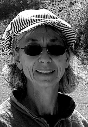 Image description