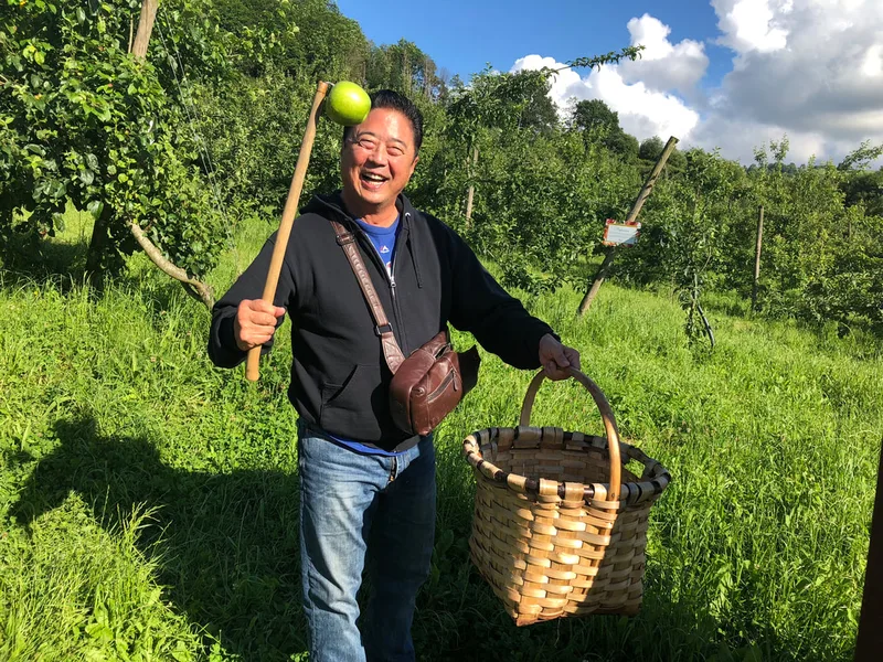 basque apple harvest