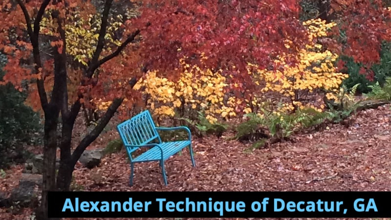 The Whirlwind of Fall