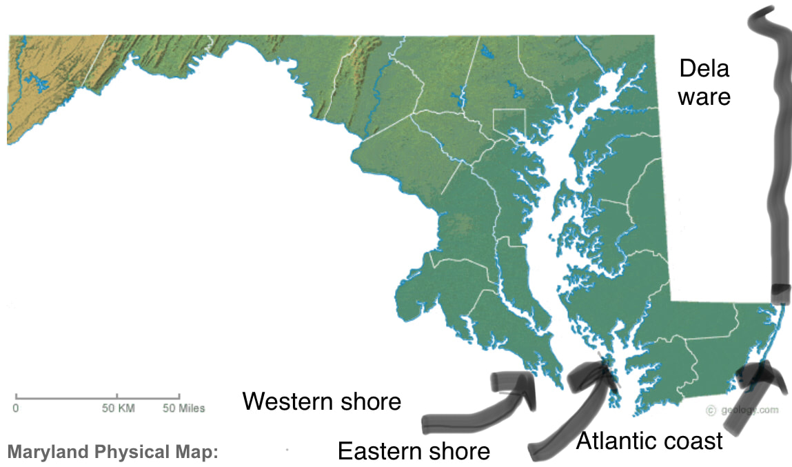 Slow Forward Day 2 - The Eastern Shore of Maryland