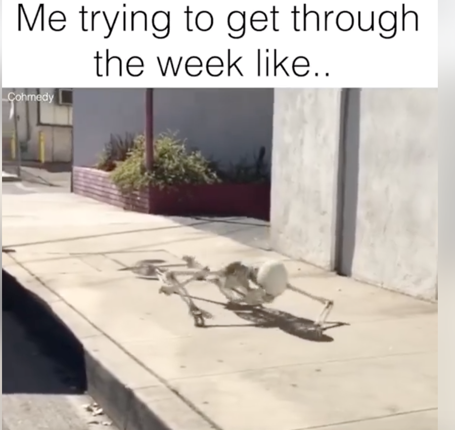 Weeds Lead, Flowers Follow?
