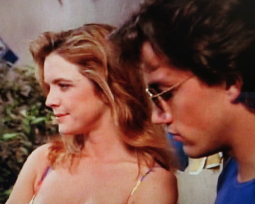 Melrose Place: Snide Episode Recaps, Season 1