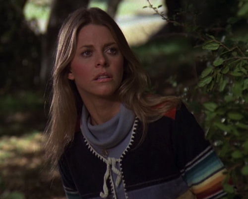 PictureThe Bionic Woman Season 2