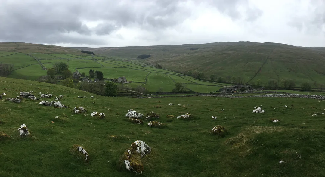 Picture