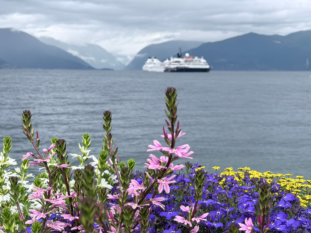 Picture