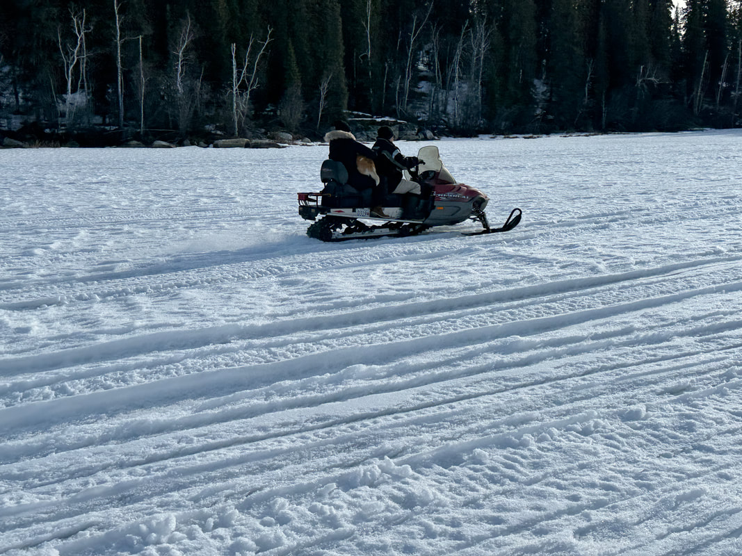 carousel chooser