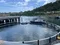 carousel chooser