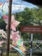 carousel chooser