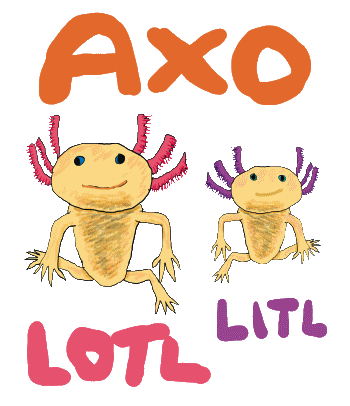 Axolotl Axolitl Pun design shows two axolotls, one large Axolotl and one small Axolitl.  Cute drawings, cute axolotls and a fun pun.