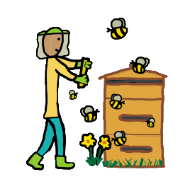 Beekeeping - beekeeper approaches hive in meadow with bees buzzing around.