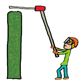 Hedge Trimming design shows a long reach hedger trimmer being used to trim the top of a tall hedge with the operator wearing essential safety gear.