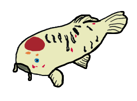 Koi carp drawing