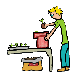 Gardener potting up new plants with compost, plug plants and pots