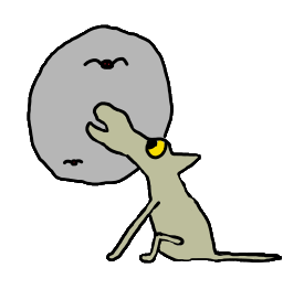 A wolf howls at the moon