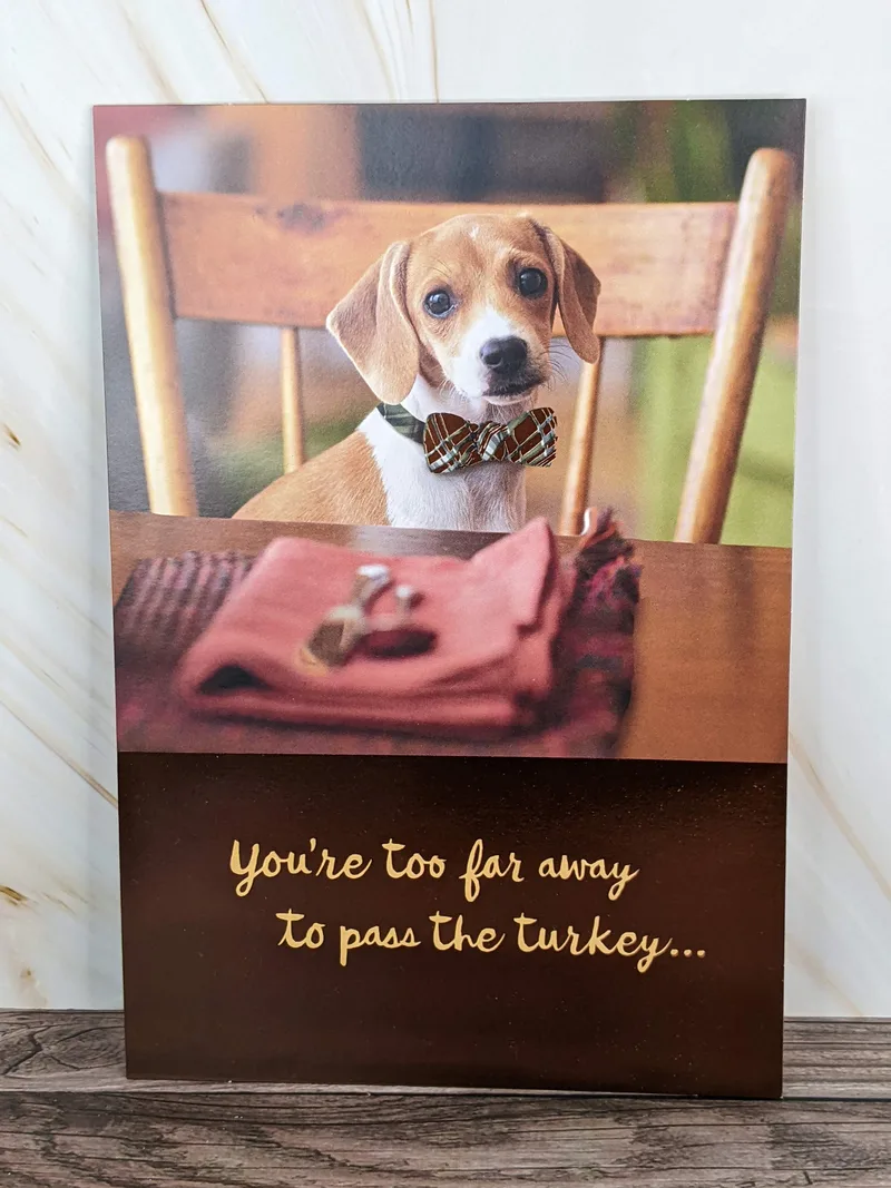 A Thanksgiving card for someone who lives far away, with an image of a dog seated at a table.