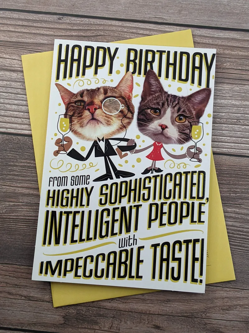 A funny cat themed birthday card with an image of two cats on a white background, along with a yellow envelope.