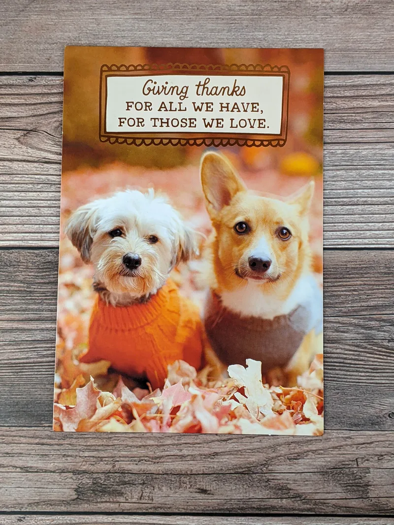 A Thanksgiving card with an image of two dogs in the Autumn leaves.