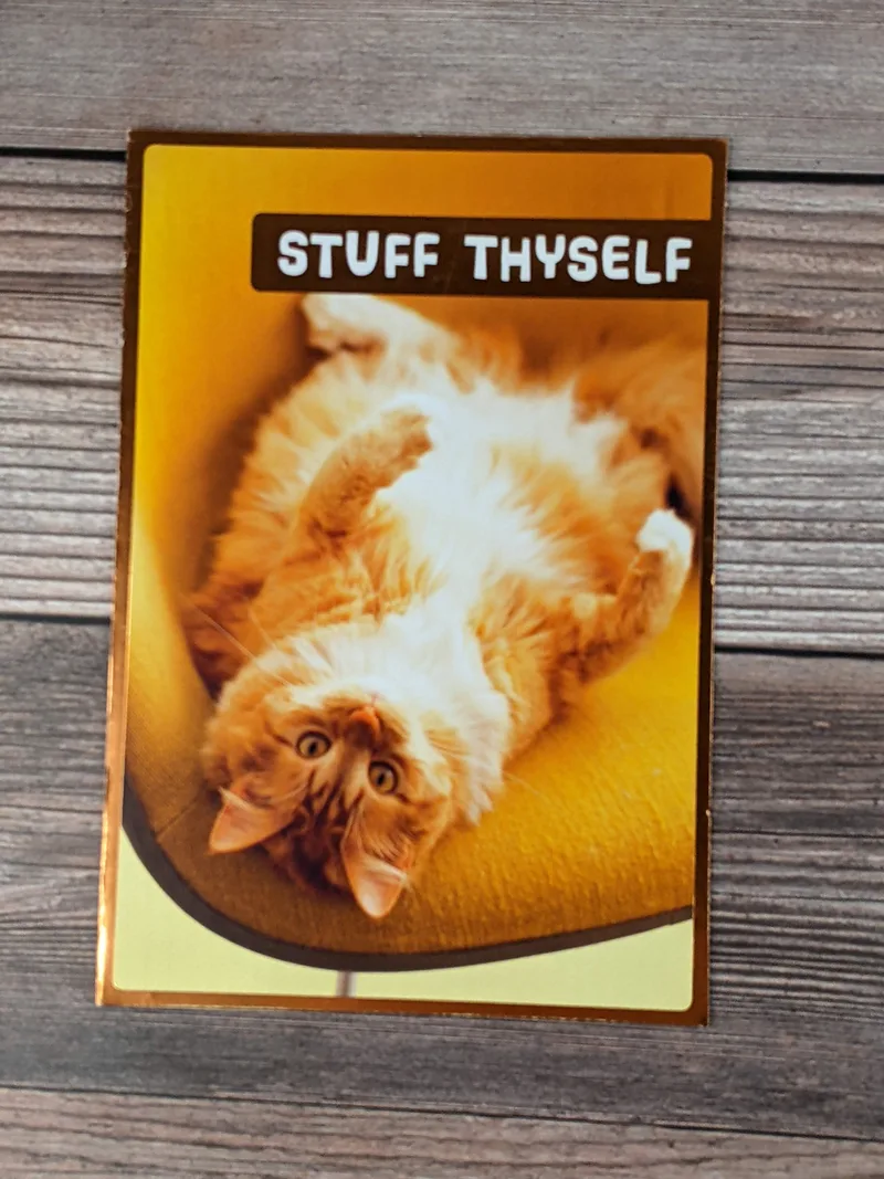 A Thanksgiving greeting card with an image of an orange and white cat and the words, "stuff thyself."