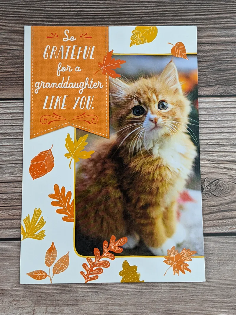 A granddaughter thanksgiving card with an image of fall leaves and a cat.