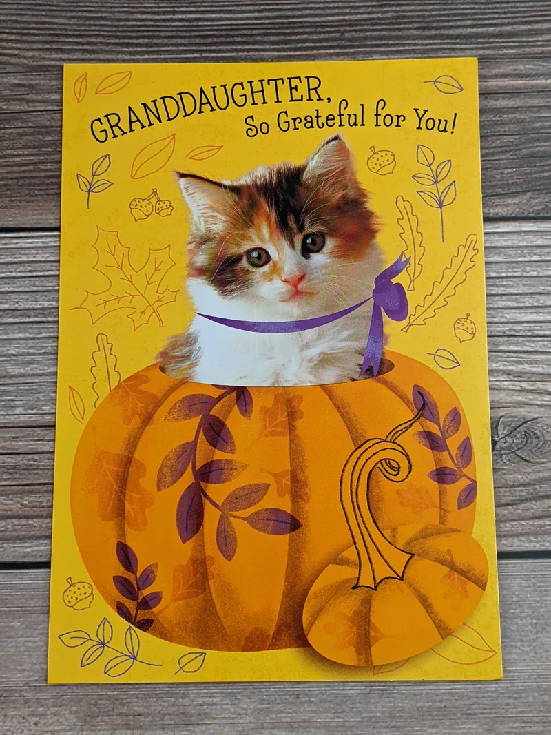 A granddaughter thanksgiving card with an image of a cat sitting inside a pumpkin.