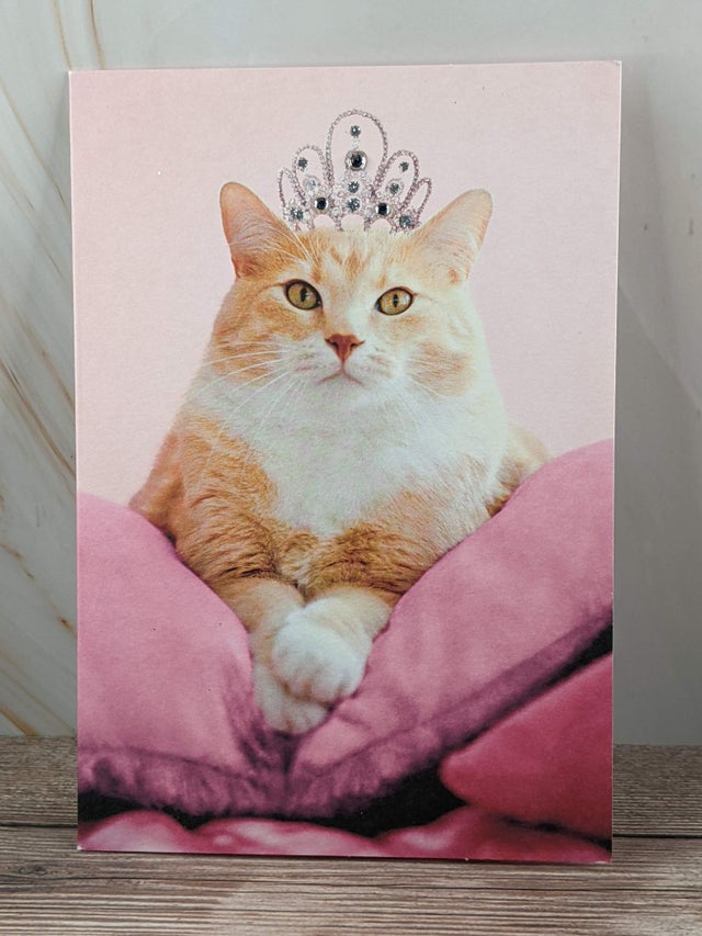 Shop for Good Deals on Blank Cards